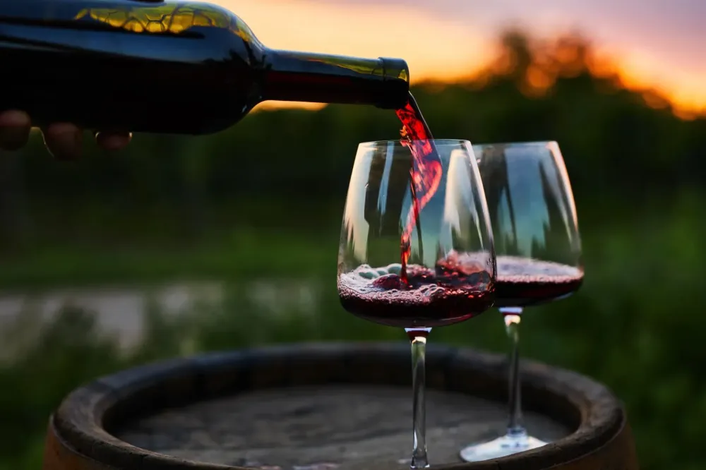 Vins rouge près de Colmar