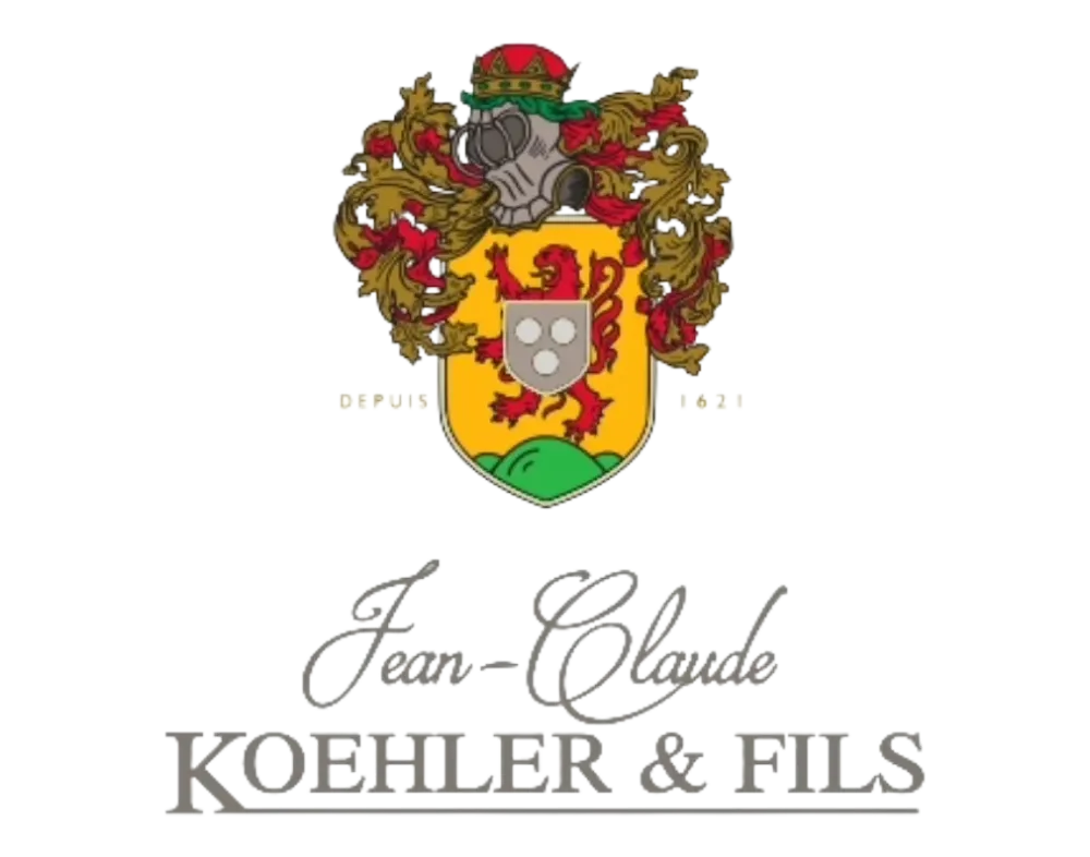 Logo transparent